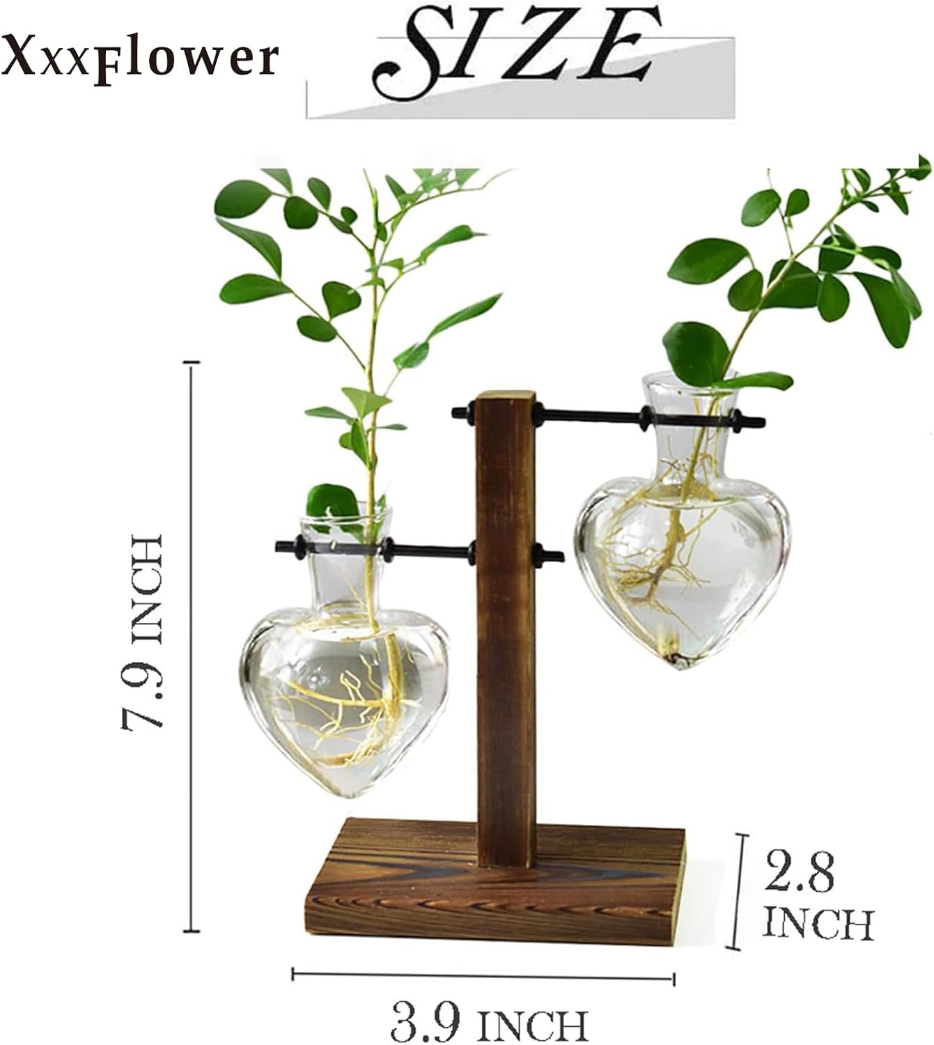 XXXFLOWER Plant Terrarium Wooden Stand