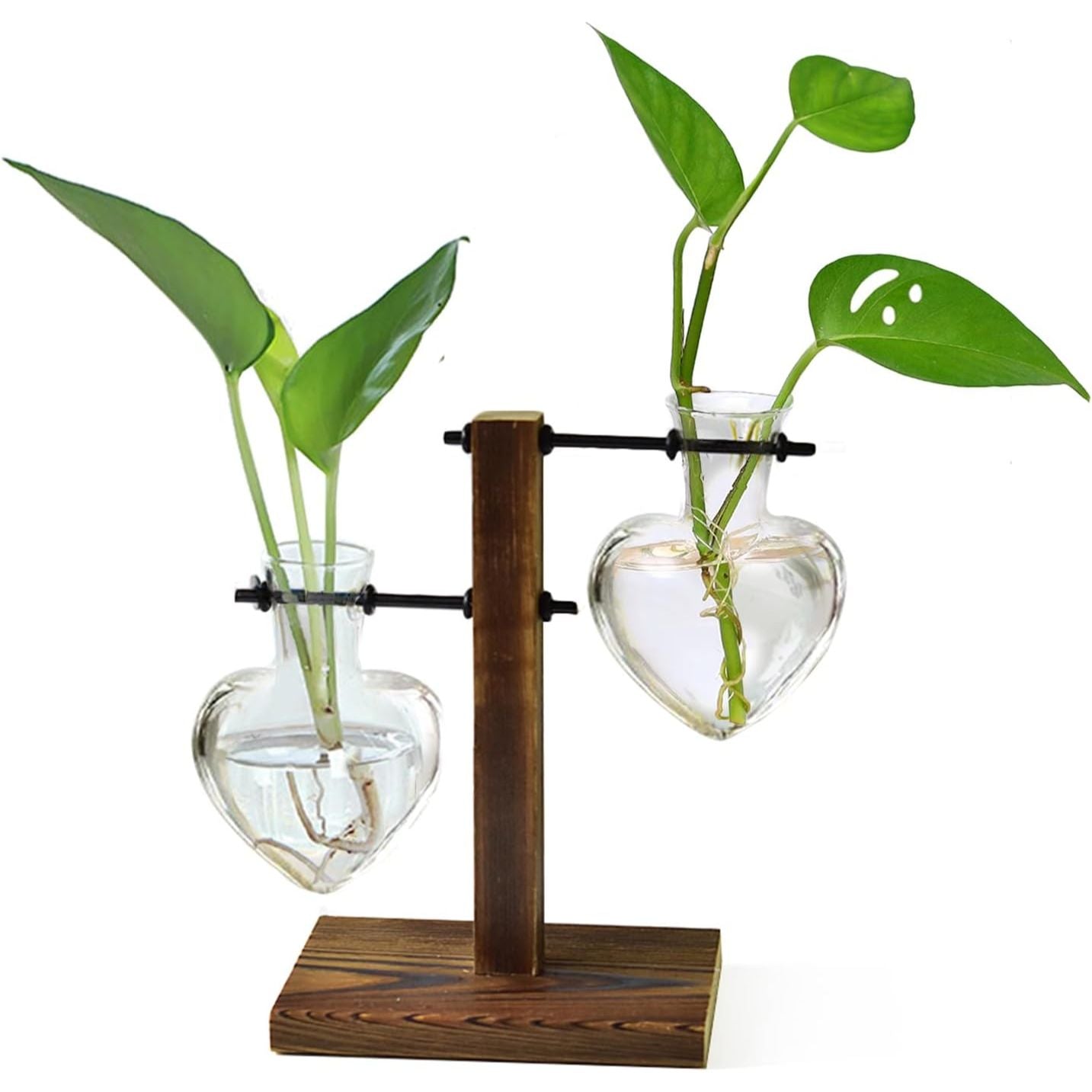 XXXFLOWER Plant Terrarium Wooden Stand